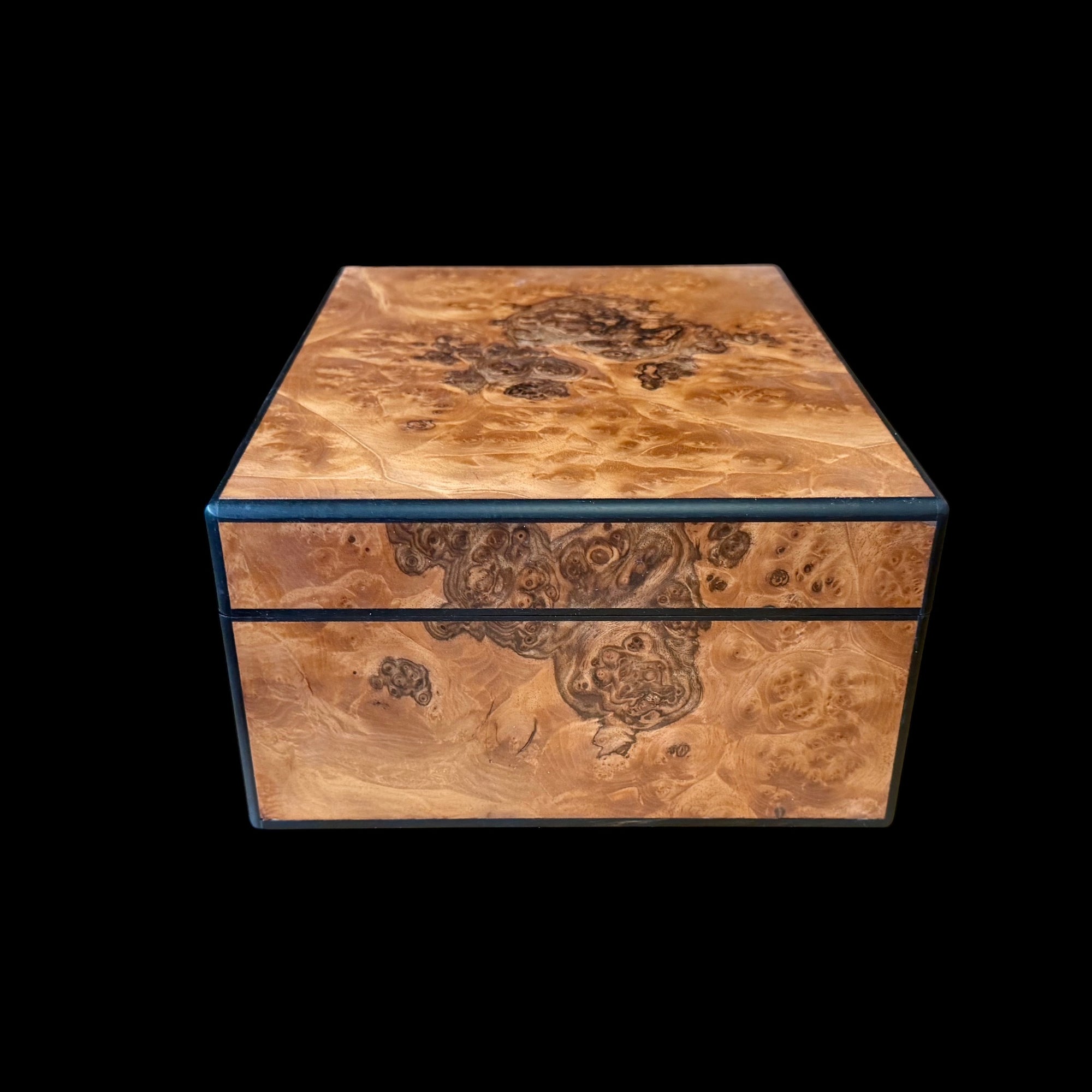 European Burled Walnut 50 ct. Humidor w/ Ebony Accents