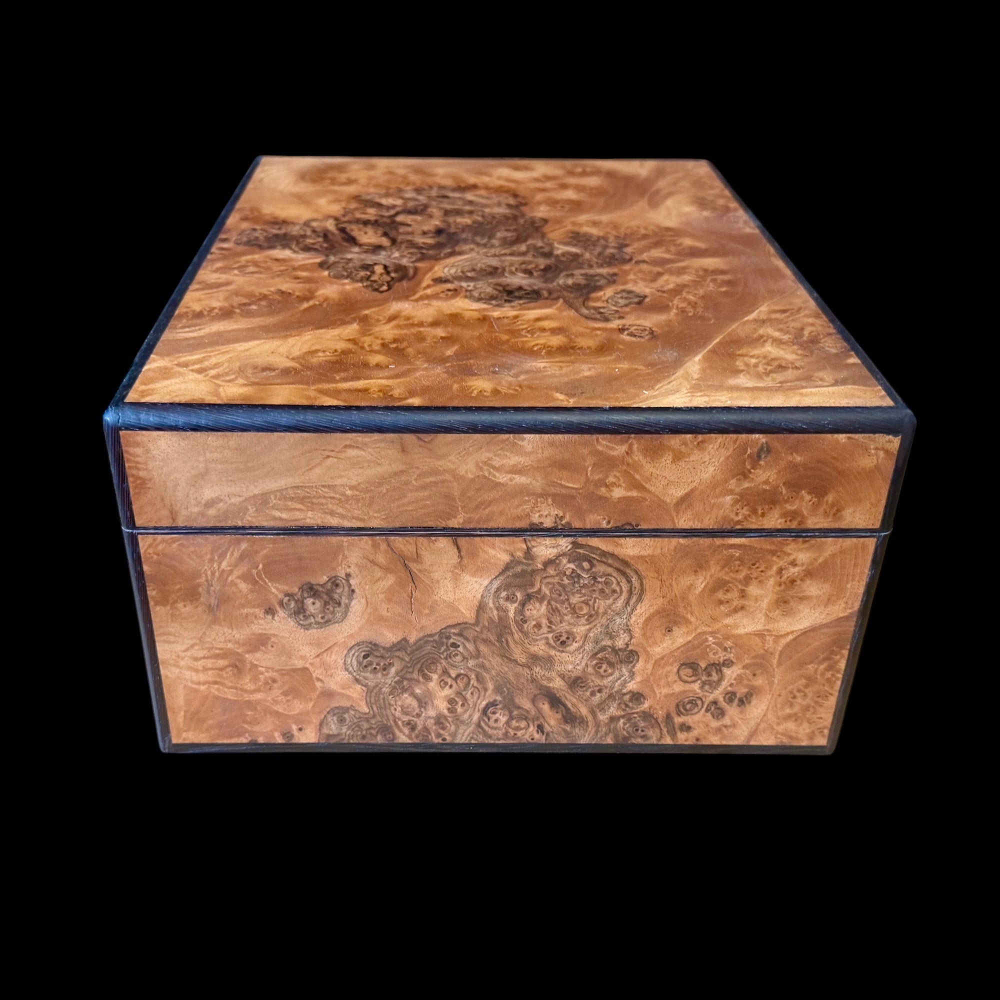 European Burled Walnut 50 ct. Humidor w/ Wenge Accents
