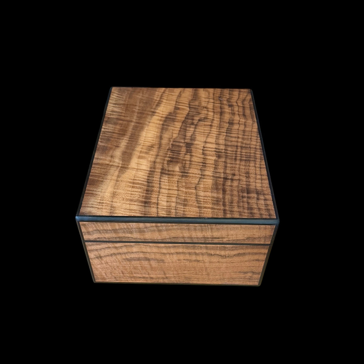 Fiddleback Walnut 50 ct. Humidor w/ Gabon Ebony Accents