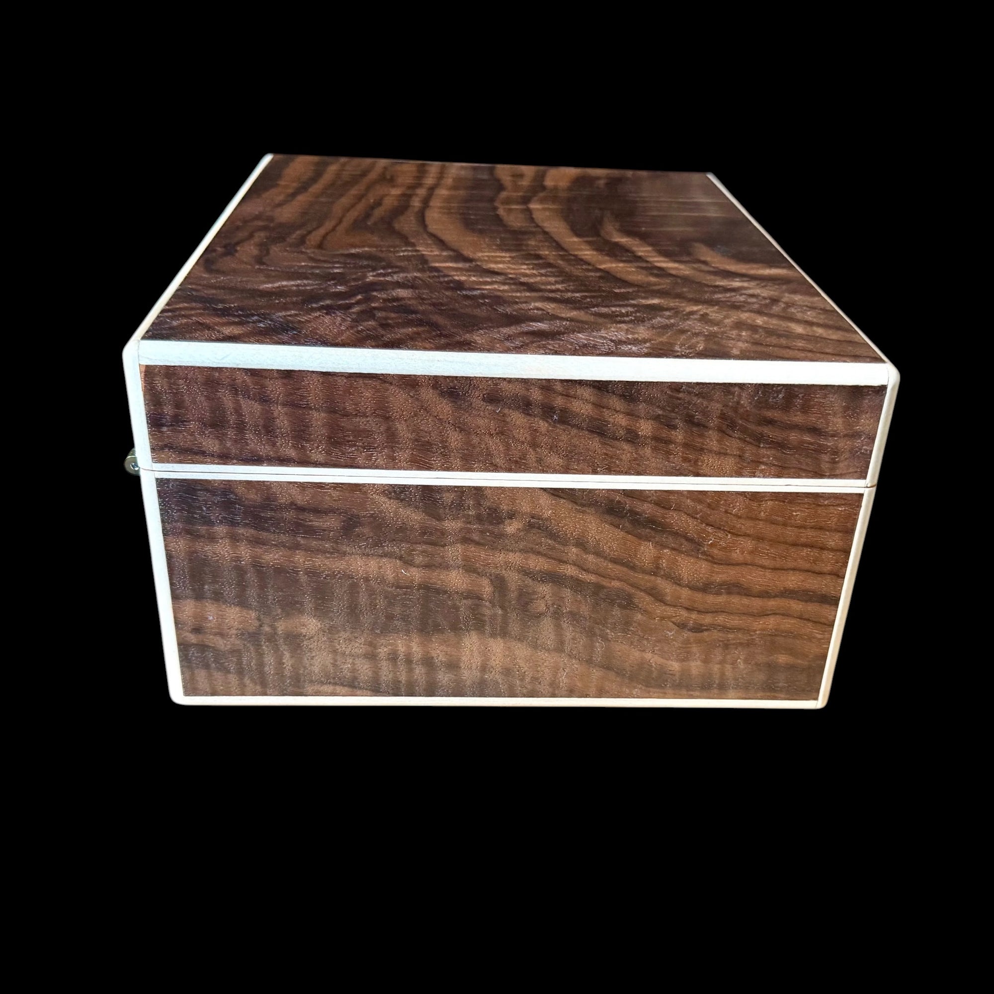 Fiddleback Walnut 50 ct. Humidor w/ Curly Maple Accents