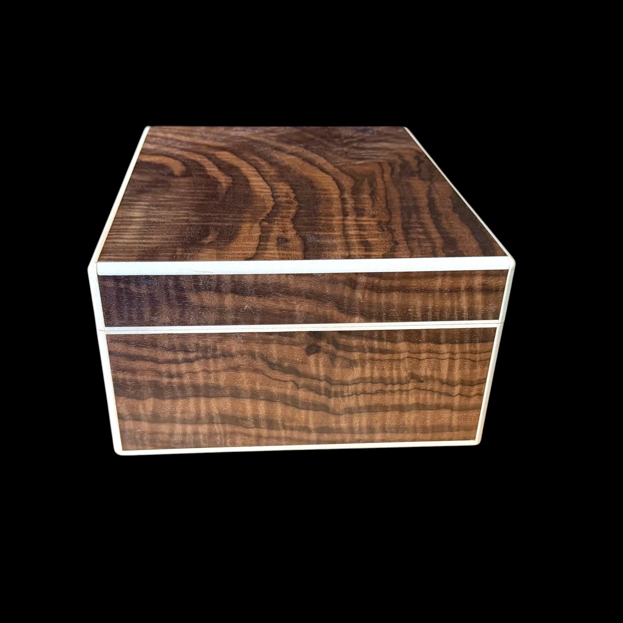 Fiddleback Walnut 50 ct. Humidor w/ Curly Maple Accents
