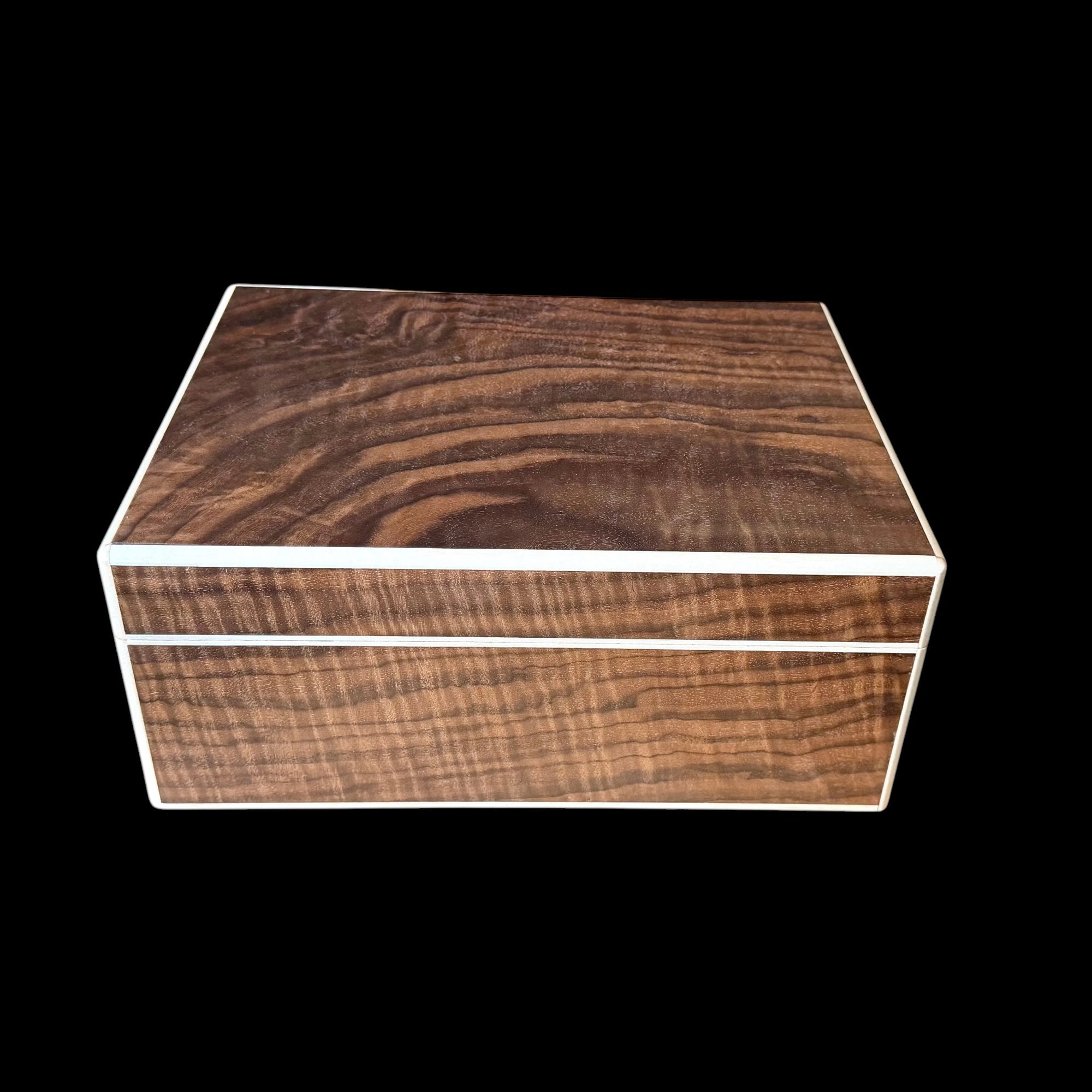 Fiddleback Walnut 50 ct. Humidor w/ Curly Maple Accents