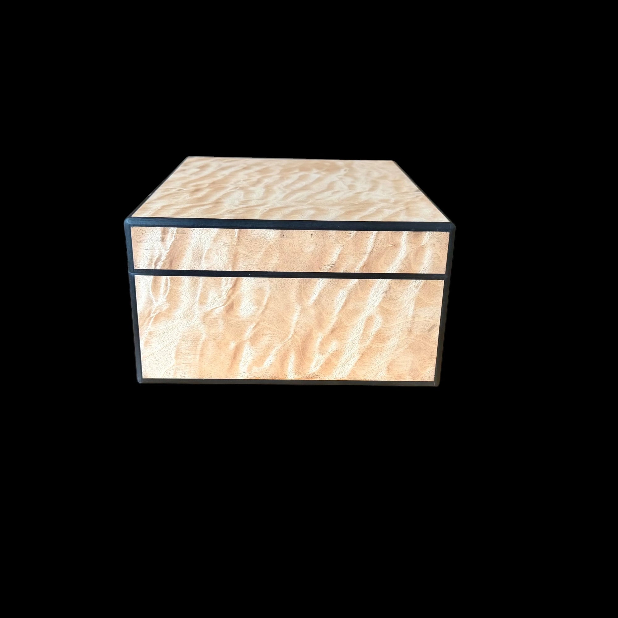 Quilted Maple  50 ct. Humidor w/ Ebony Accents
